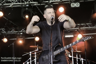 27.05.18_embrioniccells05