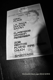 29.04.18_thedeadkiwis12