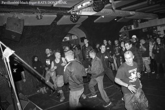 29.12.18_ratsdontsink06