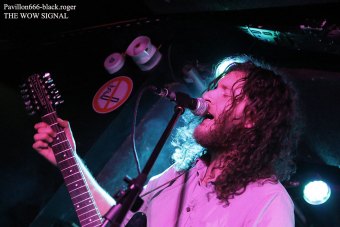 30.03.19_thewowsignal01