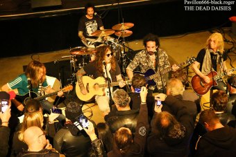 30.11.18_thedeaddaisies04