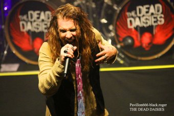 30.11.18_thedeaddaisies05