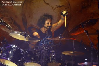 30.11.18_thedeaddaisies08