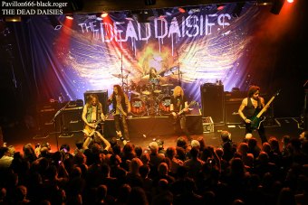 30.11.18_thedeaddaisies11