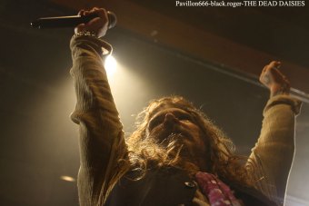 30.11.18_thedeaddaisies13