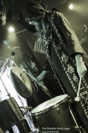 31.01.19_malepeste01