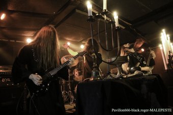 31.01.19_malepeste15