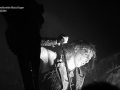 310314_watain08