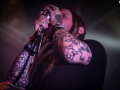 02-06-2015 COAL CHAMBER  (4)