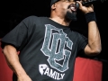 20-07-2014-Dour-CypressHill18