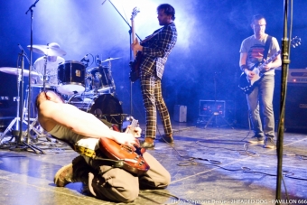 2HEADED DOG_112-2_01