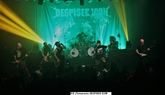 despised-icon-14