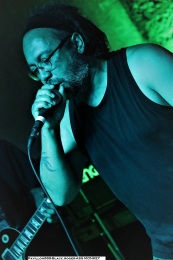 20.06.21-ass-monkey01