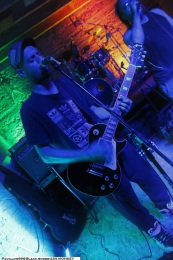 20.06.21-ass-monkey05