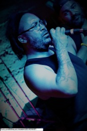 20.06.21-ass-monkey06