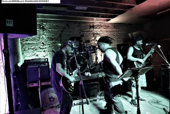 20.06.21-ass-monkey09