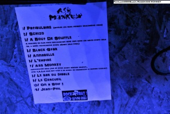 20.06.21-ass-monkey10