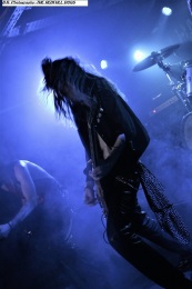 the-red-full-dogs-12