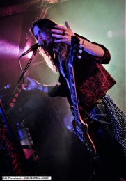 the-red-full-dogs-13