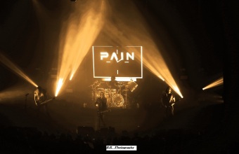 pain-14