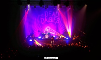 dead-daisies-14