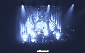 dead-daisies-15