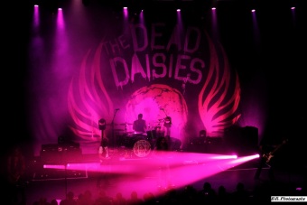 dead-daisies-16