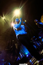 the-callous-daoboys-08