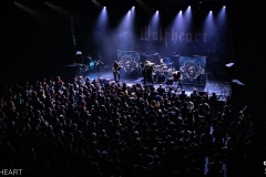 2024.11.18-02-WOLFHEART-Lyon-P666-29