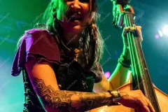 2026.01.31-THE-DREAD-CREW-OF-ODDWOOD-Signees-13