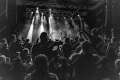 2026.01.31-TROLLFEST-Signees-36