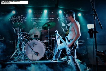 oddball-creatures-11