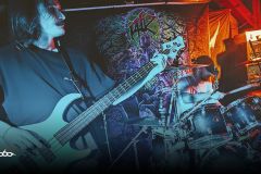 Controlled Fever Dream 1