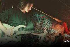 Controlled Fever Dream 2