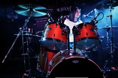 from-kittens-to-lions-02