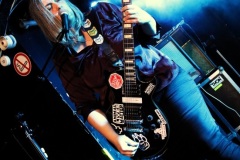 from-kittens-to-lions-03