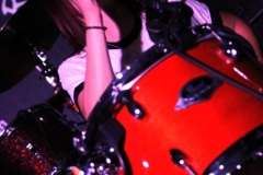 from-kittens-to-lions-05