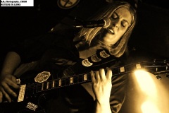 from-kittens-to-lions-07