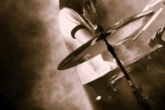 from-kittens-to-lions-09