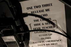 from-kittens-to-lions-10