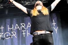 harakiri-for-the-sky-07