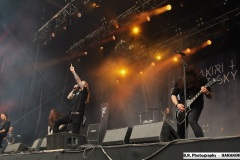 harakiri-for-the-sky-08