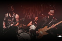 Design sans titre - 1