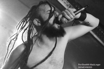 13.04.19_demenseed01