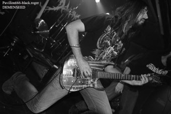 13.04.19_demenseed02