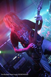 13.04.19_demenseed09