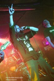 13.04.19_demenseed10