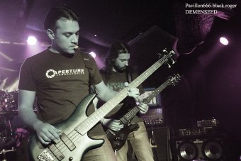 13.04.19_demenseed12