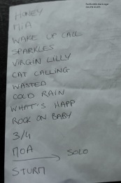 14.12.19_fallenlillies17