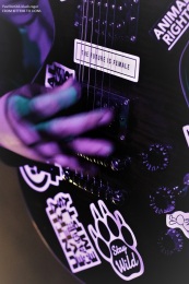 14.12.19_fromkittenstolions03